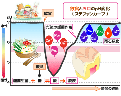 ステファンカーブ(だ液と飲食の関係)